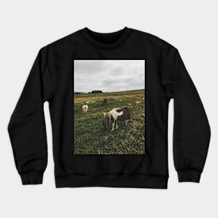 Wild Ponies in England Crewneck Sweatshirt